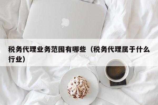 税务代理业务范围有哪些（税务代理属于什么行业）