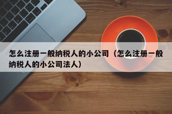 怎么注册一般纳税人的小公司（怎么注册一般纳税人的小公司法人）