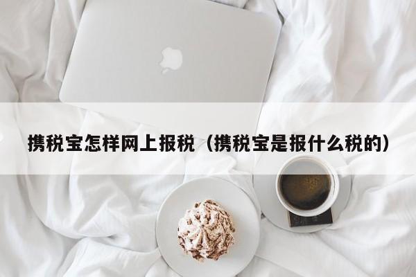 携税宝怎样网上报税（携税宝是报什么税的）