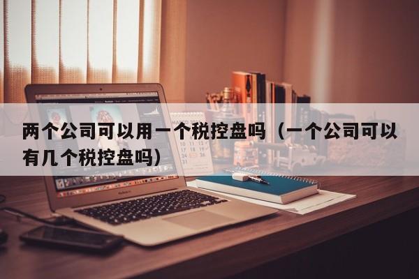 两个公司可以用一个税控盘吗（一个公司可以有几个税控盘吗）