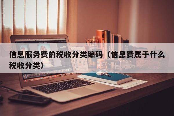 信息服务费的税收分类编码（信息费属于什么税收分类）