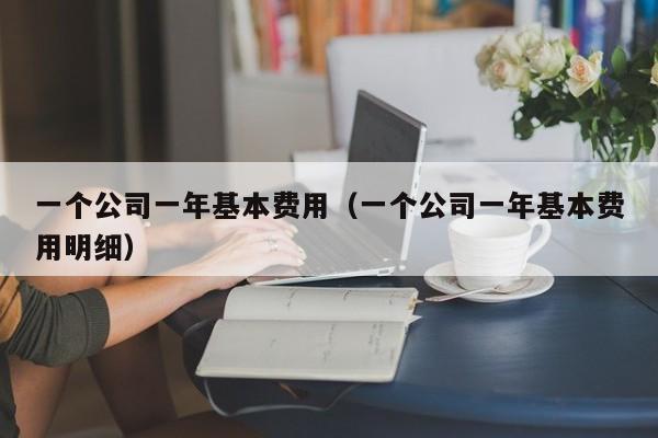 一个公司一年基本费用（一个公司一年基本费用明细）