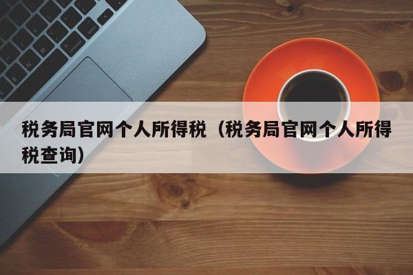 税务局官网个人所得税（税务局官网个人所得税查询）