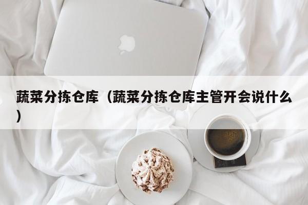 蔬菜分拣仓库（蔬菜分拣仓库主管开会说什么）