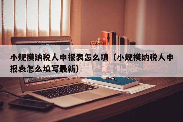 小规模纳税人申报表怎么填（小规模纳税人申报表怎么填写最新）