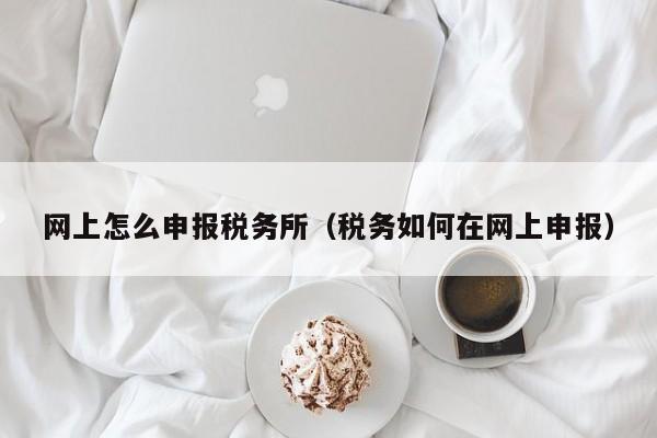 网上怎么申报税务所（税务如何在网上申报）