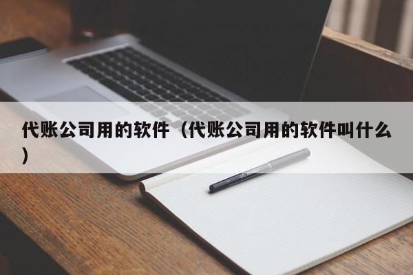 代账公司用的软件（代账公司用的软件叫什么）