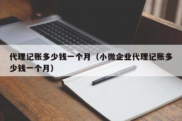 代理记账多少钱一个月（小微企业代理记账多少钱一个月）