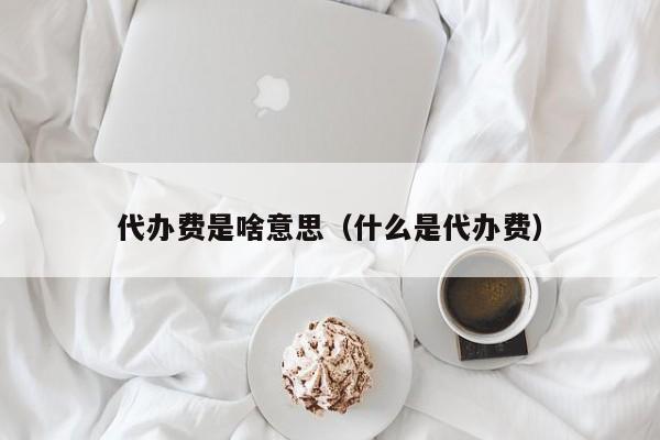 代办费是啥意思（什么是代办费）