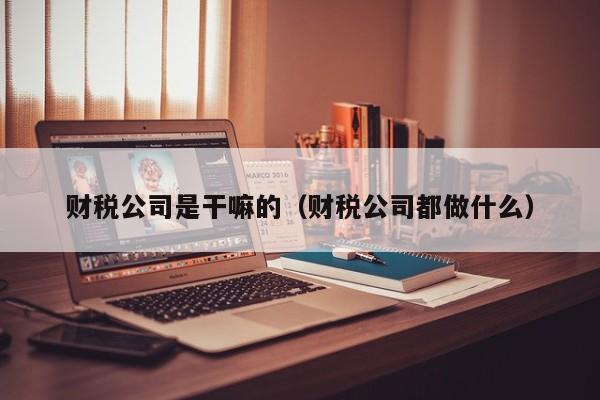 财税公司是干嘛的（财税公司都做什么）