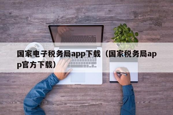 国家电子税务局app下载（国家税务局app官方下载）