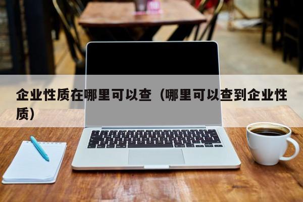 企业性质在哪里可以查（哪里可以查到企业性质）