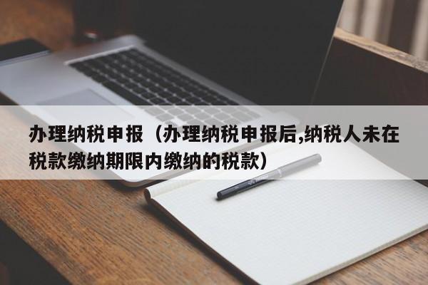 办理纳税申报（办理纳税申报后,纳税人未在税款缴纳期限内缴纳的税款）