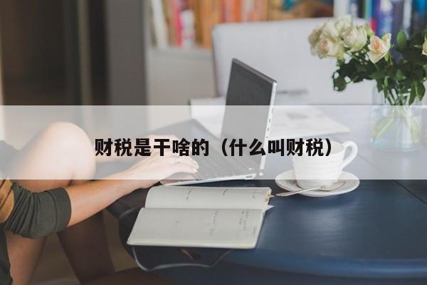 财税是干啥的（什么叫财税）