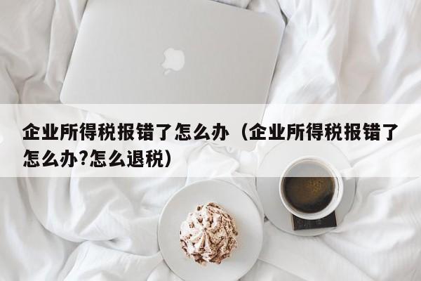 企业所得税报错了怎么办（企业所得税报错了怎么办?怎么退税）