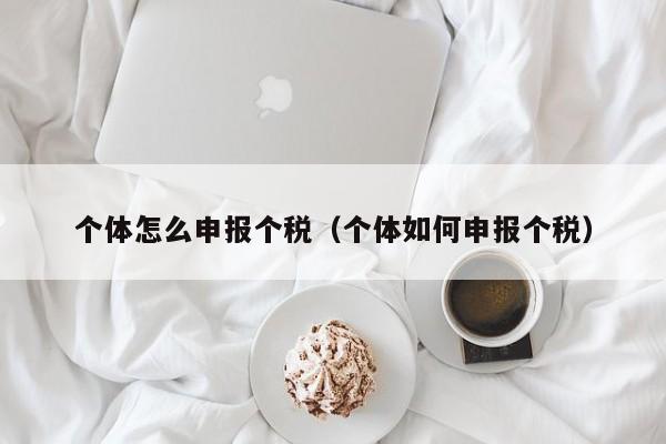 个体怎么申报个税（个体如何申报个税）