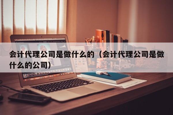 会计代理公司是做什么的（会计代理公司是做什么的公司）