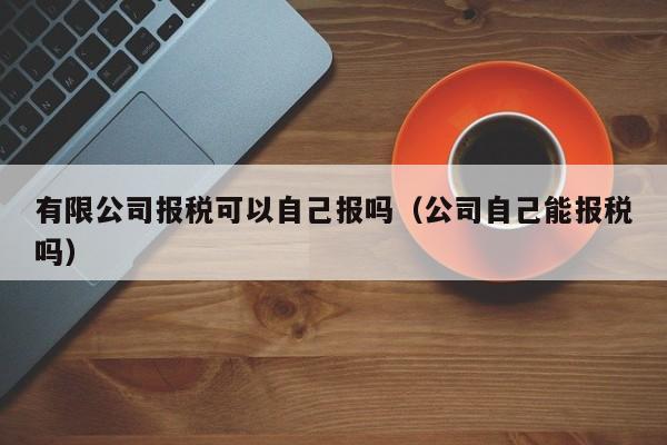 有限公司报税可以自己报吗（公司自己能报税吗）