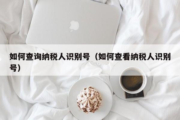 如何查询纳税人识别号（如何查看纳税人识别号）