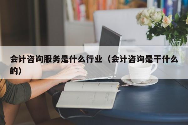 会计咨询服务是什么行业（会计咨询是干什么的）