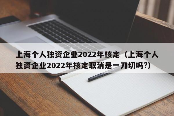 上海个人独资企业2022年核定（上海个人独资企业2022年核定取消是一刀切吗?）