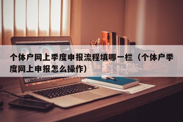 个体户网上季度申报流程填哪一栏（个体户季度网上申报怎么操作）