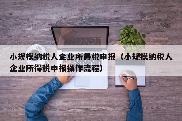 小规模纳税人企业所得税申报（小规模纳税人企业所得税申报操作流程）