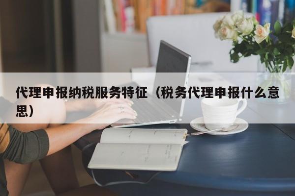 代理申报纳税服务特征（税务代理申报什么意思）