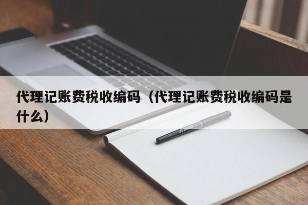 代理记账费税收编码（代理记账费税收编码是什么）