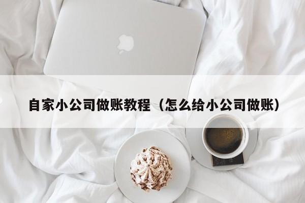 自家小公司做账教程（怎么给小公司做账）