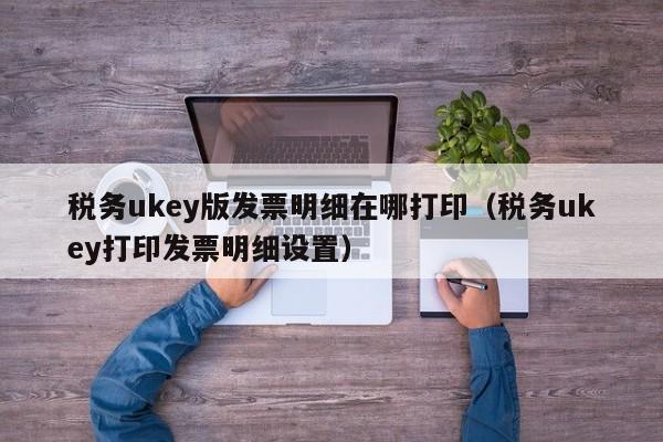 税务ukey版发票明细在哪打印（税务ukey打印发票明细设置）