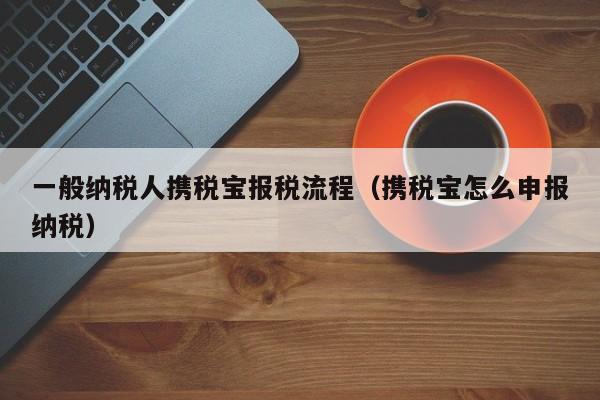 一般纳税人携税宝报税流程（携税宝怎么申报纳税）