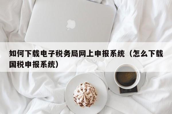 如何下载电子税务局网上申报系统（怎么下载国税申报系统）