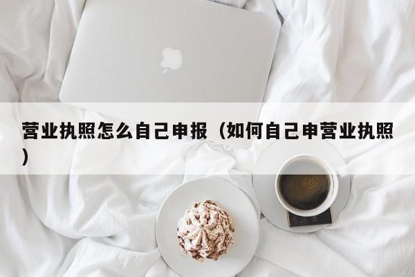 营业执照怎么自己申报（如何自己申营业执照）