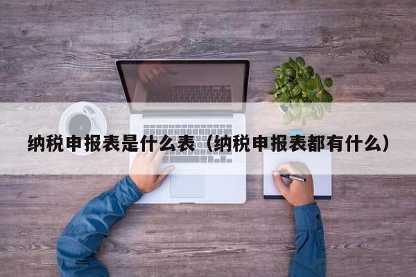 纳税申报表是什么表（纳税申报表都有什么）