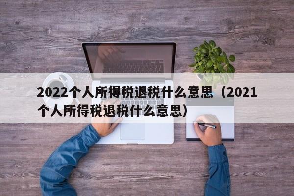 2022个人所得税退税什么意思（2021个人所得税退税什么意思）