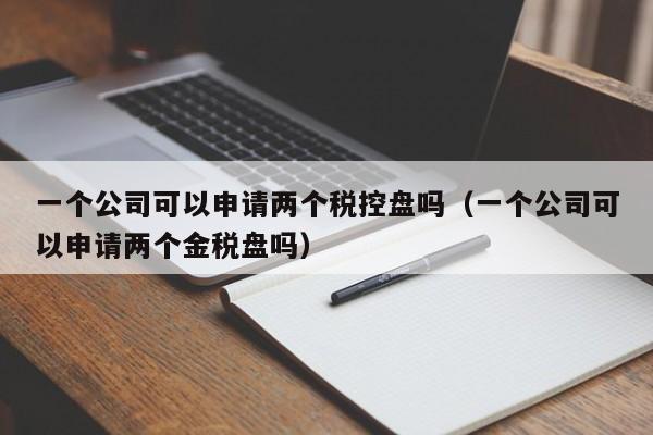 一个公司可以申请两个税控盘吗（一个公司可以申请两个金税盘吗）