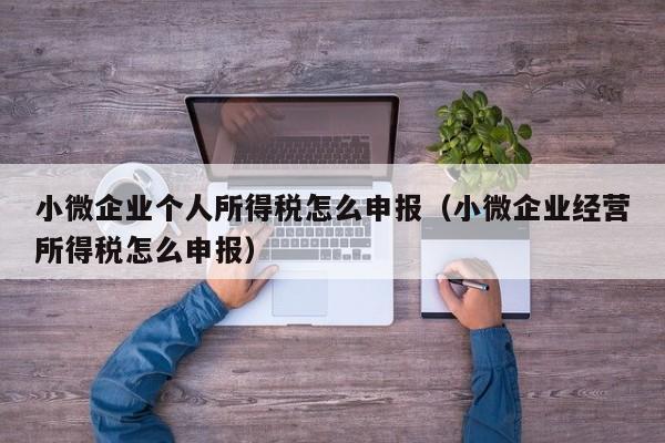 小微企业个人所得税怎么申报（小微企业经营所得税怎么申报）