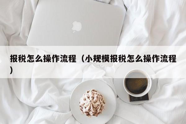 报税怎么操作流程（小规模报税怎么操作流程）