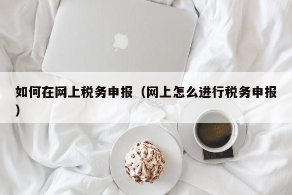 如何在网上税务申报（网上怎么进行税务申报）