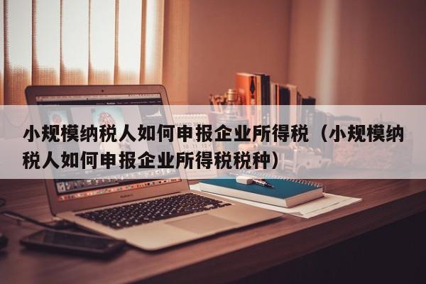 小规模纳税人如何申报企业所得税（小规模纳税人如何申报企业所得税税种）