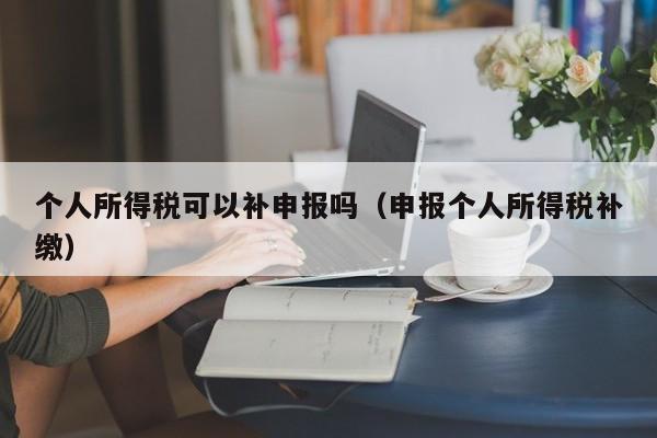 个人所得税可以补申报吗（申报个人所得税补缴）