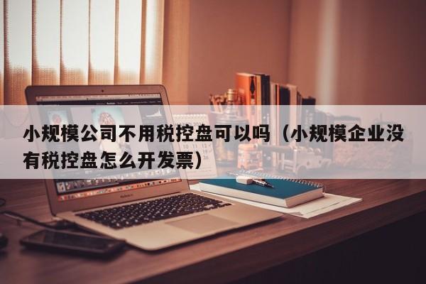 小规模公司不用税控盘可以吗（小规模企业没有税控盘怎么开发票）