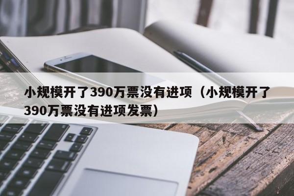 小规模开了390万票没有进项（小规模开了390万票没有进项发票）