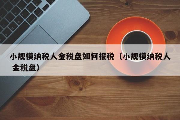 小规模纳税人金税盘如何报税（小规模纳税人 金税盘）