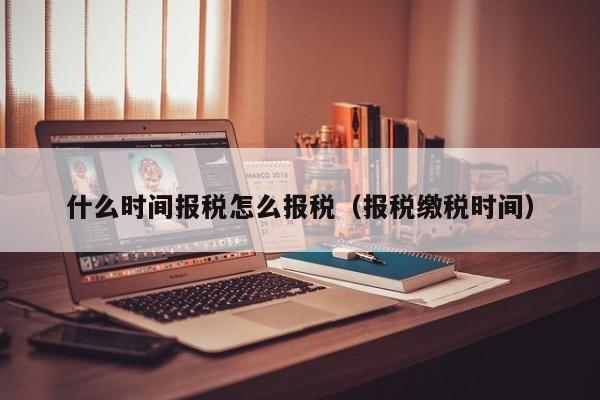 什么时间报税怎么报税（报税缴税时间）