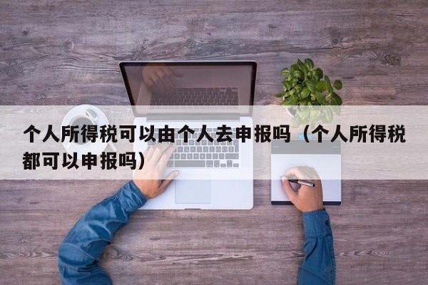 个人所得税可以由个人去申报吗（个人所得税都可以申报吗）