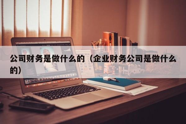 公司财务是做什么的（企业财务公司是做什么的）