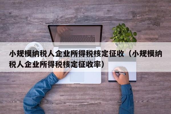 小规模纳税人企业所得税核定征收（小规模纳税人企业所得税核定征收率）