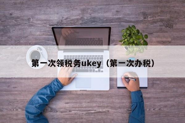 第一次领税务ukey（第一次办税）